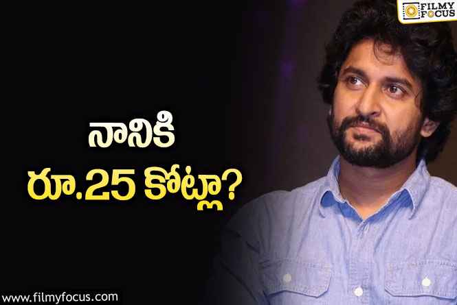 Nani: మైండ్ బ్లాక్ చేస్తున్న నాని పారితోషికం?