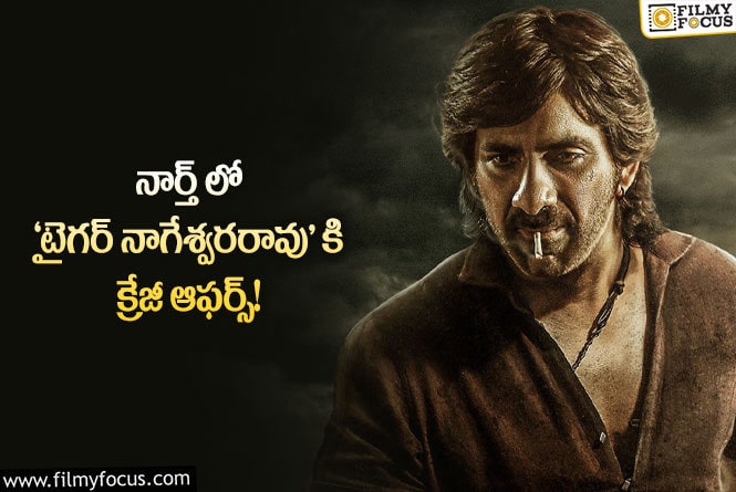 Ravi Teja: రవితేజకి నార్త్ లో కూడా హిట్టు పడేలా ఉందే!