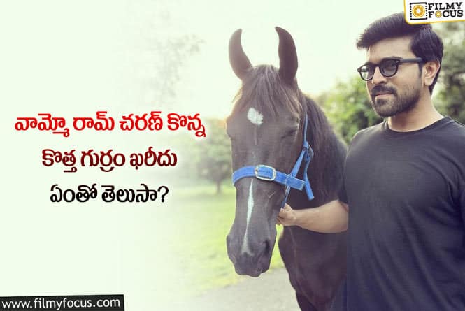 Ram Charan: కోట్లు ఖర్చు చేసి మరి గుర్రం కొన్న రామ్ చరణ్!