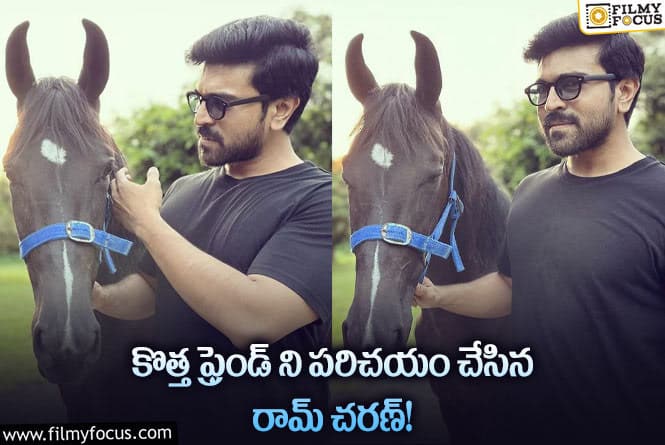 Ram Charan: మరో హార్స్ కొన్న చరణ్.. ఫోటో వైరల్!