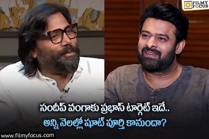 Prabhas: ప్రభాస్ సందీప్ వంగా కాంబో మూవీ టార్గెట్ ఇదే.. కానీ?