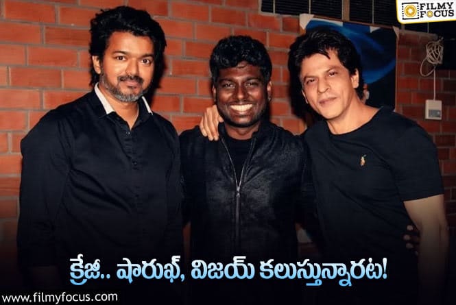 Vijay, Shah Rukh Khan: అట్లీ అదిరిపోయే ఆలోచన… 2 ఇండస్ట్రీలను కలుపుతున్నారట…. టార్గెట్‌ ఎంతో తెలుసా?