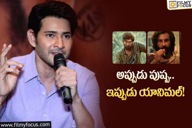 Mahesh Babu: మహేష్ బాబు అలాంటి కథలకు నో చెప్పడానికి కారణాలివేనా?