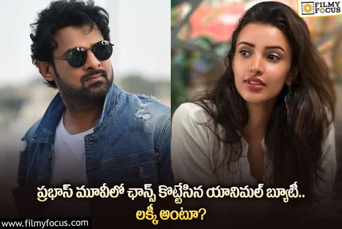 Prabhas: ఆ బోల్డ్ బ్యూటీకి ప్రభాస్ సినిమాలో ఛాన్స్ దక్కిందా.. ఏమైందంటే?