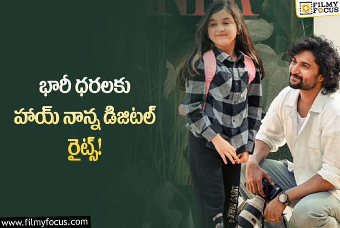 Hi Naana: విడుదలకు ముందే లాభాలలో హాయ్ నాన్న!