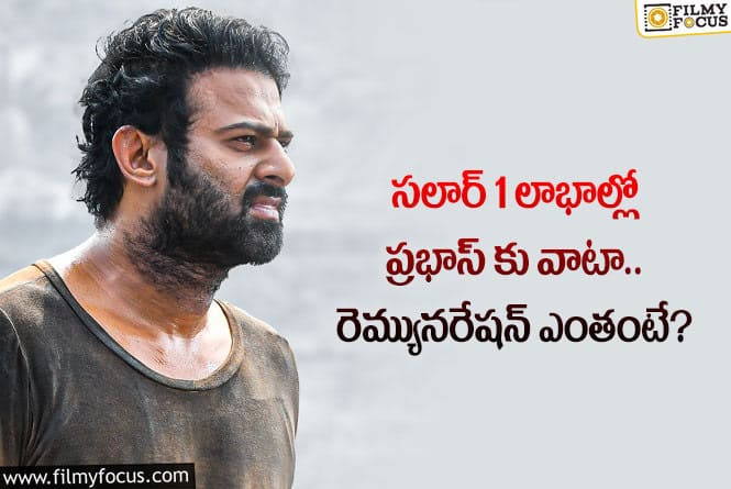 Prabhas: సలార్1 మూవీకి ప్రభాస్ పారితోషికం ఎంతో తెలిస్తే షాకవ్వాల్సిందే!