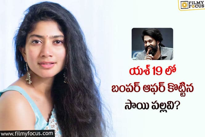 Sai Pallavi, Yash: రాఖీ బాయ్ సినిమాలో లేడీ పవర్ స్టార్?