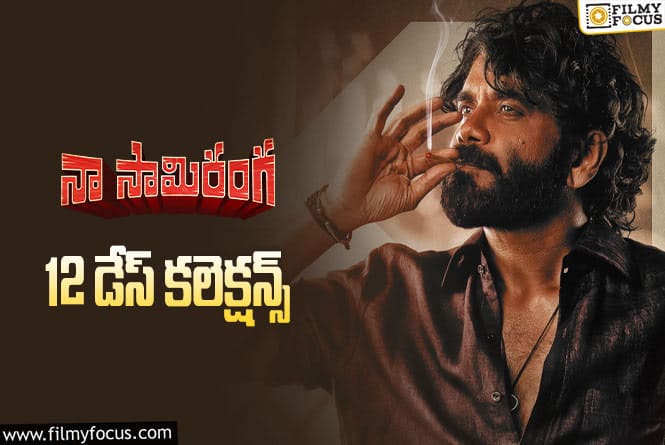 Naa Saami Ranga Collections: ‘నా సామి రంగ’ 12 రోజుల్లో ఎంత కలెక్ట్ చేసిందంటే?