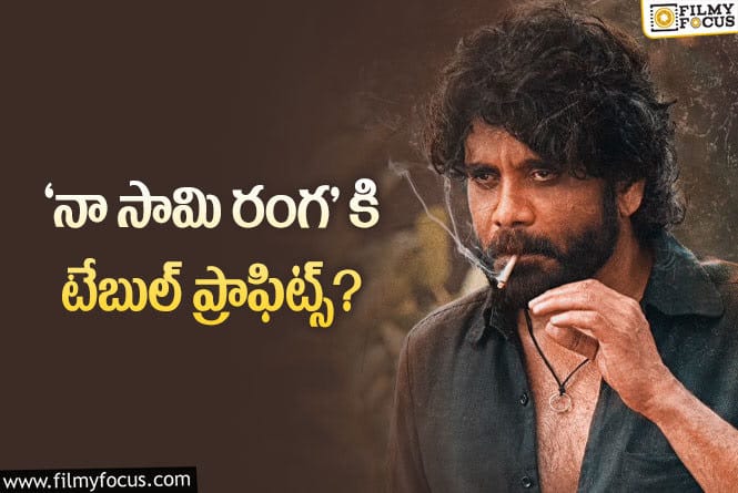 Naa Saami Ranga: ‘నా సామి రంగ’ బిజినెస్ … అప్పుడే లాభాలు!