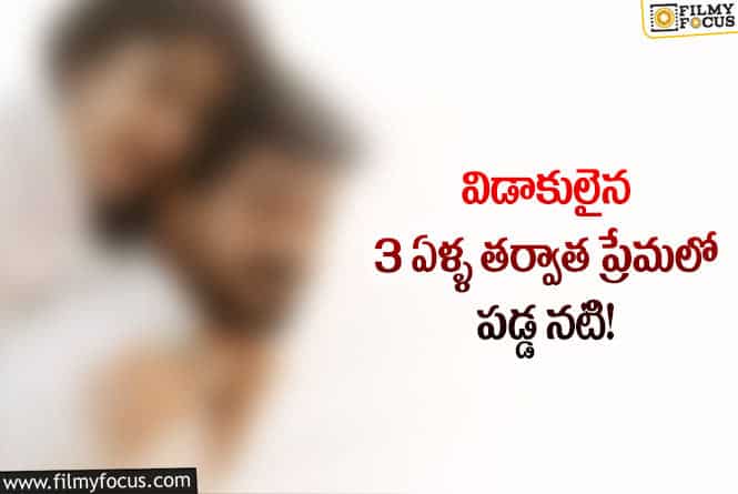 నటుడితో రెండో పెళ్లి.. క్లారిటీ ఇచ్చేసిన నటి!
