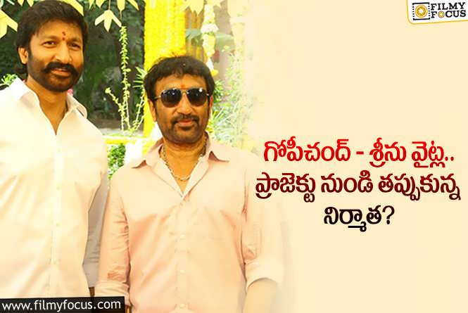 Srinu Vaitla, Gopichand: శ్రీను వైట్లకి హ్యాండిచ్చిన నిర్మాత.. అయినా మంచే జరిగిందిగా?