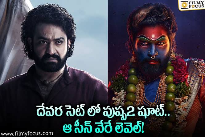 Pushpa2, Devara: పుష్ప2 మూవీలో ఆయన సీఎంగా కనిపిస్తారా.. ఏమైందంటే?