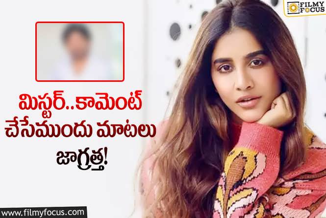 Nabha Natesh: ఆ ప్రముఖ నటుడికి వార్నింగ్ ఇచ్చిన నభా నటేష్.. ఏం జరిగిందంటే?