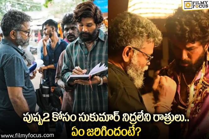 Sukumar: పుష్ప ది రూల్ కోసం సుకుమార్ పడుతున్న కష్టానికి ఫిదా అవ్వాల్సిందే!