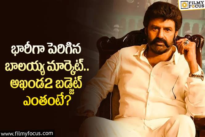 Balakrishna: వామ్మో.. నందమూరి బాలయ్య మార్కెట్ ఈ స్థాయిలో పెరిగిందా?