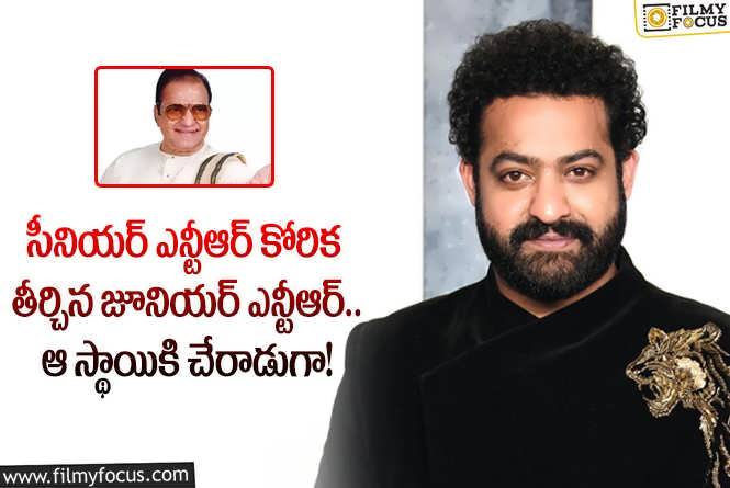 Jr NTR: మనవడి విషయంలో ఎన్టీఆర్ కోరిక ఇదే.. ఆ దర్శకుడితో ఏమన్నారంటే?