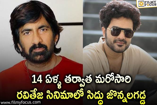 Ravi Teja, Siddu Jonnalagadda: రవితేజ మూవీలో సిద్దు జొన్నలగడ్డ.. క్రేజీ కాంబో మరోసారి