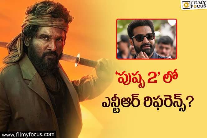 Pushpa 2: జూనియర్ ఎన్టీఆర్ నిజ జీవితం నుండే ‘పుష్ప’ క్యారెక్టర్ పుట్టిందా?