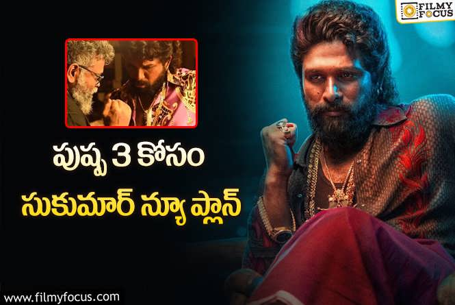 Pushpa 2: పుష్ప 2 మరో హీరోతో ట్విస్ట్ ఇవ్వనున్నారా?