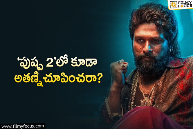 Pushpa 2: ‘పుష్ప’ విషయంలో సుకుమార్‌  ప్లాన్‌ అదేనా.. క్లైమాక్స్‌లో స్టే ట్యూన్డ్‌ అంటే..?