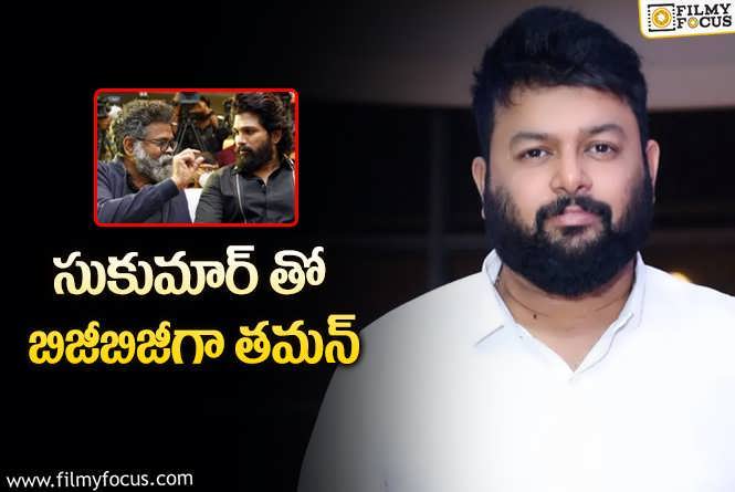 SS Thaman: పుష్ప 2: ఒక్క మాటతో క్లారిటీ ఇచ్చేసిన తమన్!