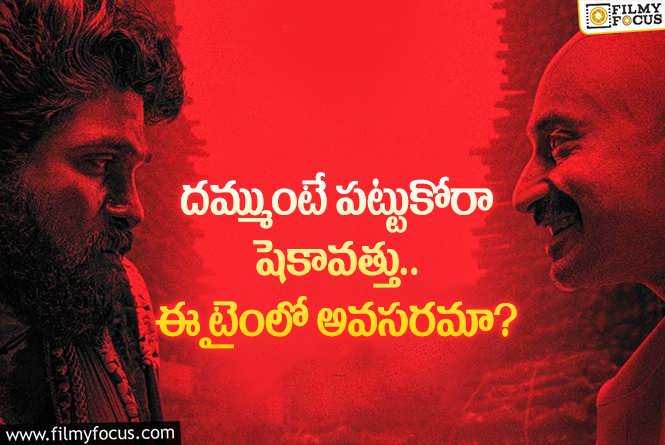 Pushpa 2 The Rule: అనవసరమైన పాటని విడుదల చేసిన ‘పుష్ప 2’ టీం..!