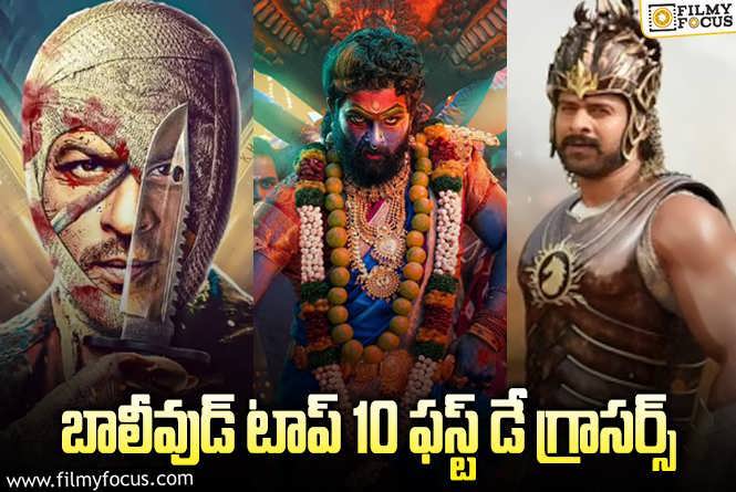 ‘పుష్ప 2’ తో పాటు నార్త్ లో రోజు భారీ వసూళ్లు సాధించిన 10 సినిమాల లిస్ట్!