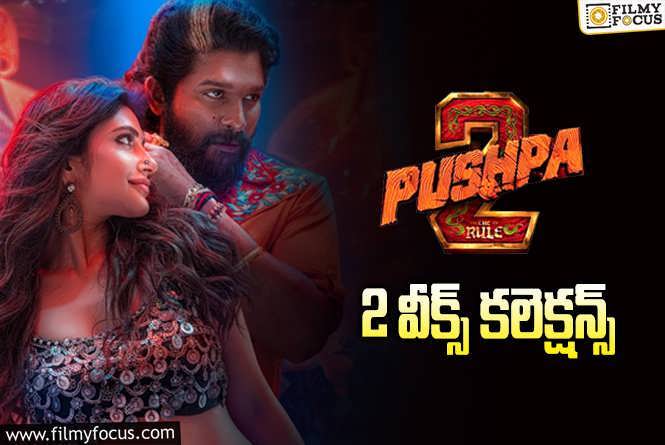 Pushpa 2 The Rule Collections: ‘పుష్ప 2’.. ఇంకాస్త పుంజుకోవాలి..!