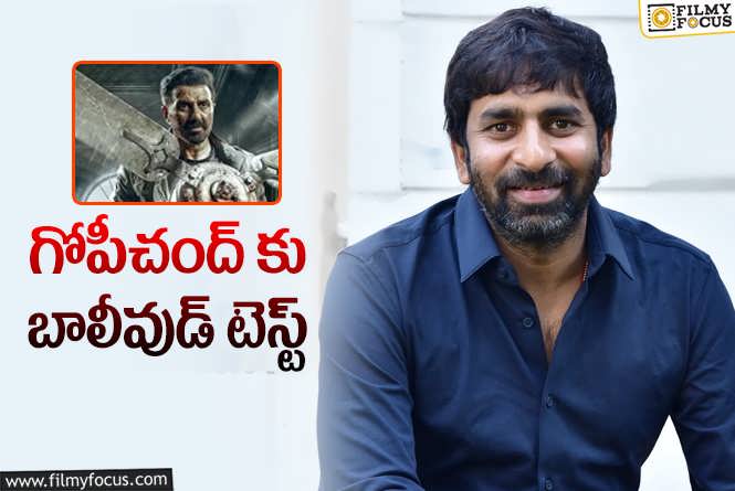 Gopichand Malineni: జాట్ క్లిక్లయితే అక్కడ మరో జాక్ పాట్!