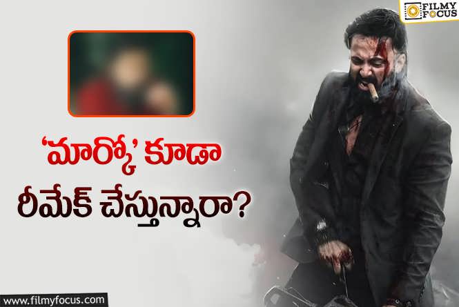 Marco: స్టార్ హీరోతో ‘మార్కో’ రీమేక్.. పెద్ద షాక్ ఇది..!