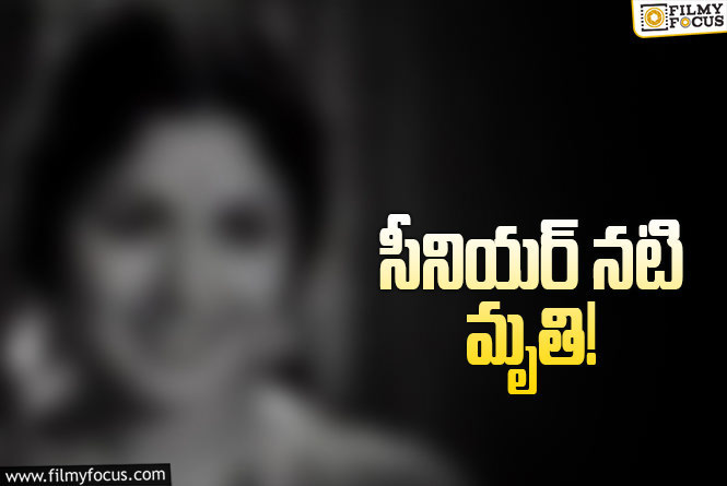 సినీ పరిశ్రమలో విషాదం.. ప్రముఖ నటి కన్నుమూత