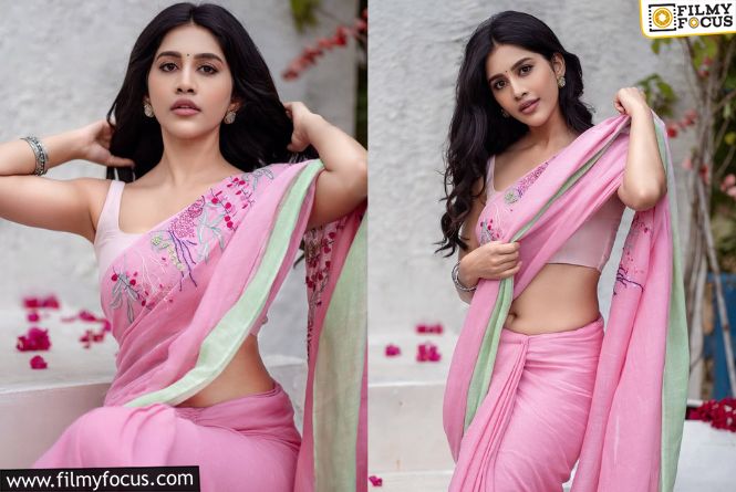 Nabha Natesh: పద్ధతిగా అందాలారబోస్తున్న నభా నటేశ్‌.. వైరల్ అవుతున్న ఫొటోలు..!