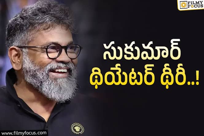 Sukumar: సినిమా మాస్ జానాల కోసమే తీయాలా?