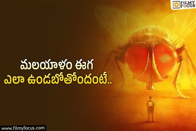 మలయాళంలో కొత్త ఈగ.. రాజమౌళి సినిమాతో సంబంధం లేదట!