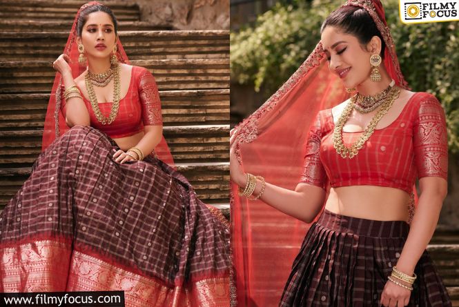 Nabha Natesh: సంప్రాదాయ దుస్తుల్లో అందాలు ఒలకపోస్తున్న నభా నటేష్..వైరల్ అవుతున్న ఫోటోలు!