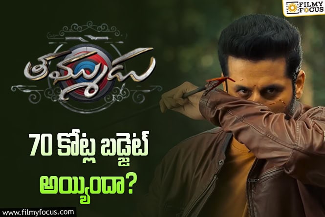 Thammudu: ప్లాపుల్లో ఉన్నా.. నితిన్ సినిమాకి అంత బడ్జెట్ పెట్టారా?