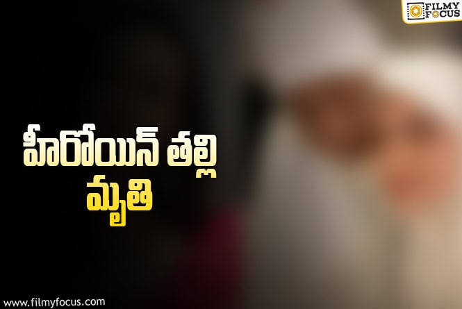 సినీ పరిశ్రమలో మరో విషాదం