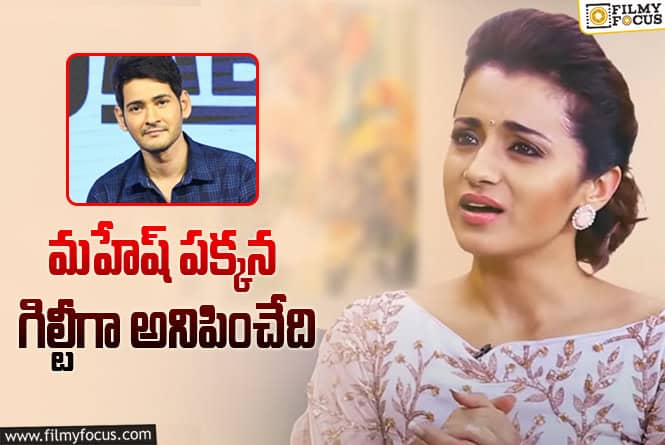 Trisha: మహేష్ పై త్రిష ఆసక్తికర వ్యాఖ్యలు