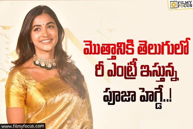 Pooja Hegde: పూజా హెగ్డేకి మంచి ప్రాజెక్టు దొరికింది.. ఆ స్టార్ హీరోతో ఫిక్స్!