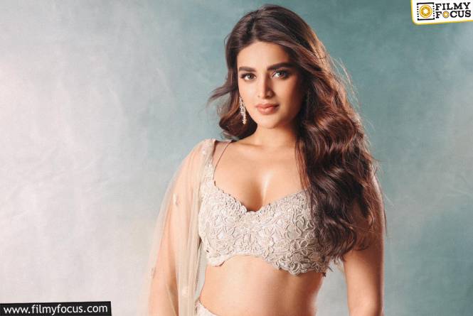 Nidhhi Agerwal: గవర్నమెంట్‌ వెహికల్‌లో నిధి అగర్వాల్‌.. క్లారిటీ ఇచ్చిన నటి!