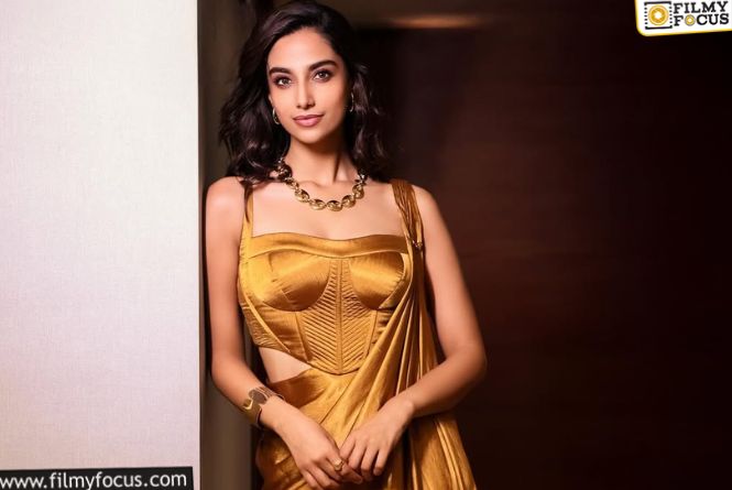 Meenakshi Chaudhary: యాక్షన్‌ హీరోతో యాక్షన్‌ నాయికగా బాలీవుడ్‌కి.. మీనాక్షి పవర్‌ఫుల్‌ ప్లాన్‌