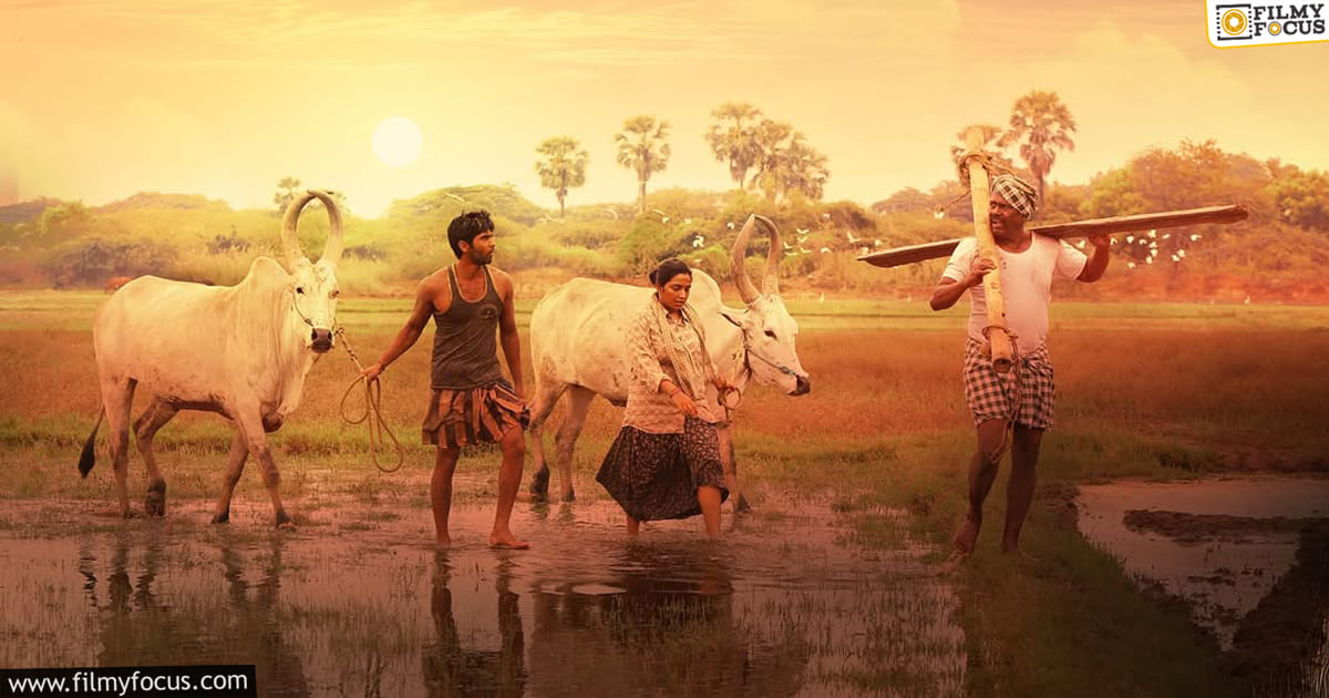 Bison Movie Review and Rating