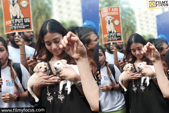 NIVETHA PETHURAJ: కుక్క కాటు చిన్న విషయమా? నెటిజన్లతో నివేదా పేతురాజ్ యుద్ధం!